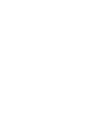 FERIT Logo